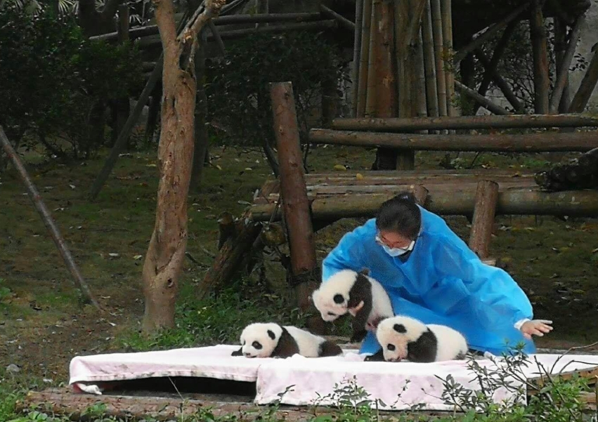 chengdu